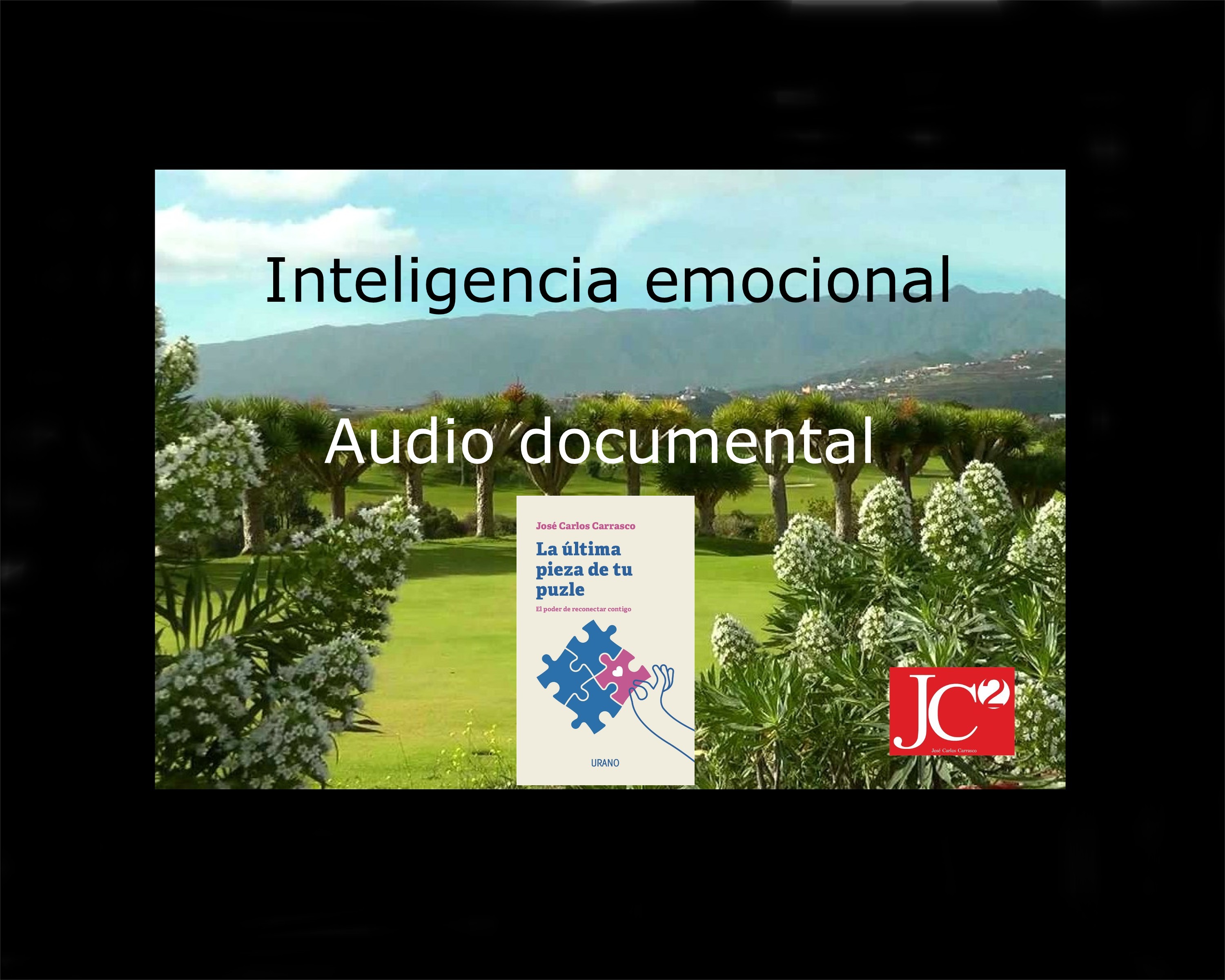INTELIGENCIA EMOCIONAL. AUDIO DOCUMENTAL episode artwork