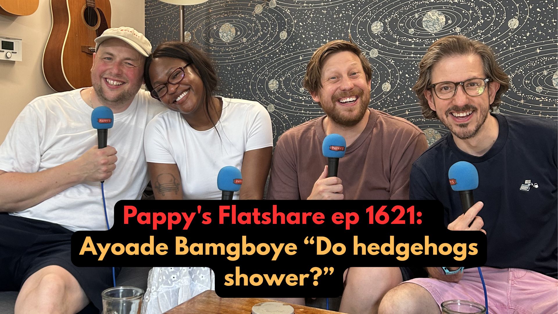 Pappy's Flatshare ep 1621: Ayoade Bamgboye "Do hedgehogs shower?"