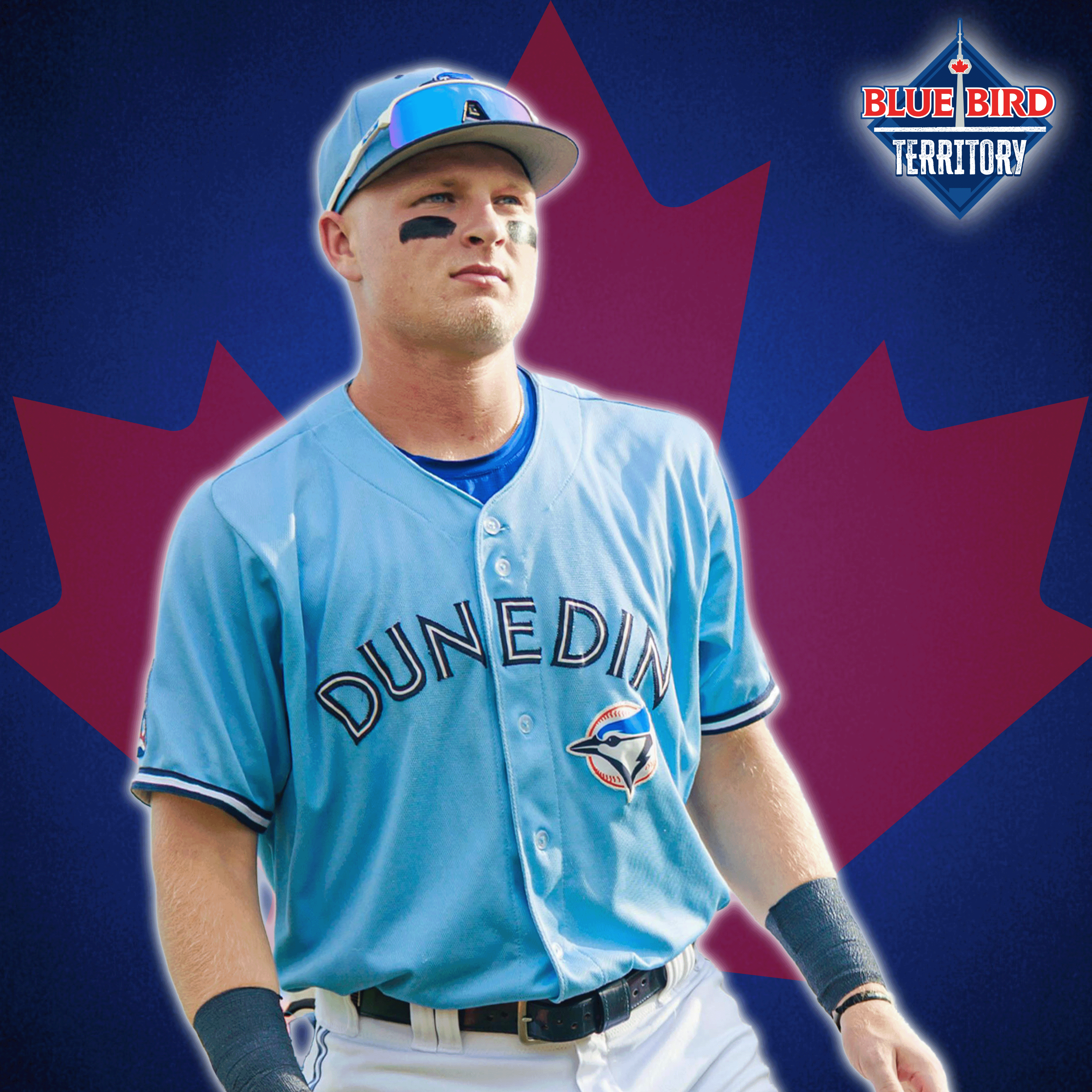 Breaking Down A Blue Jays Breakout At Every Level