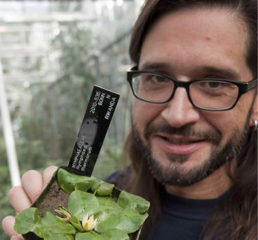 Grand Theft Water Lily