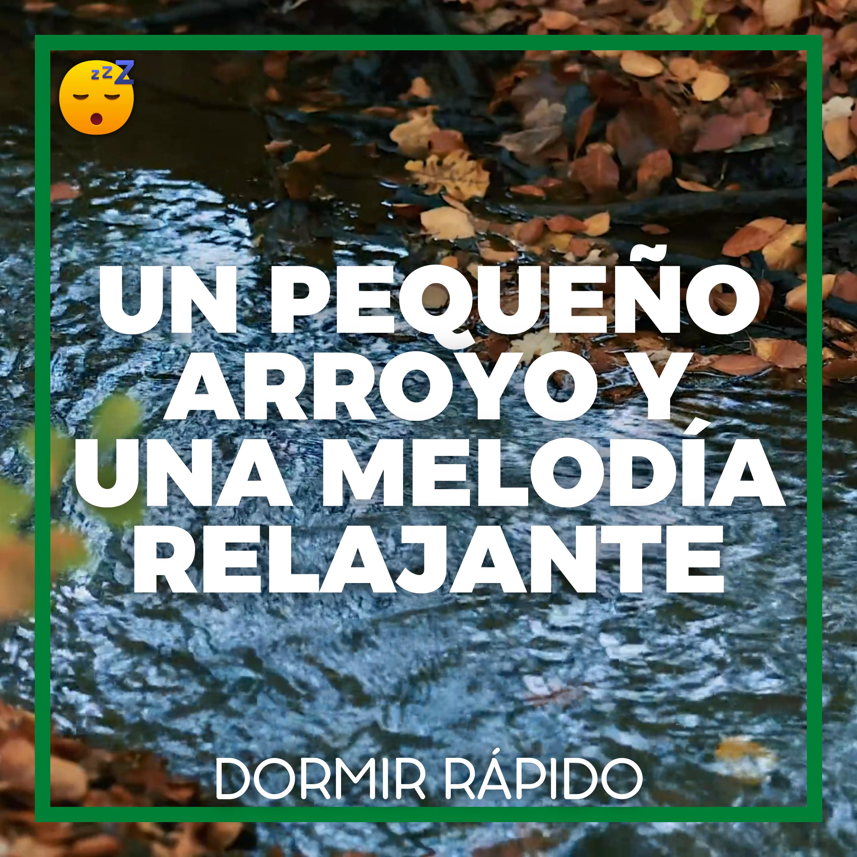 Un Pequeño ARROYO y una MELODÍA Relajante para un SUEÑO Tranquilo episode artwork