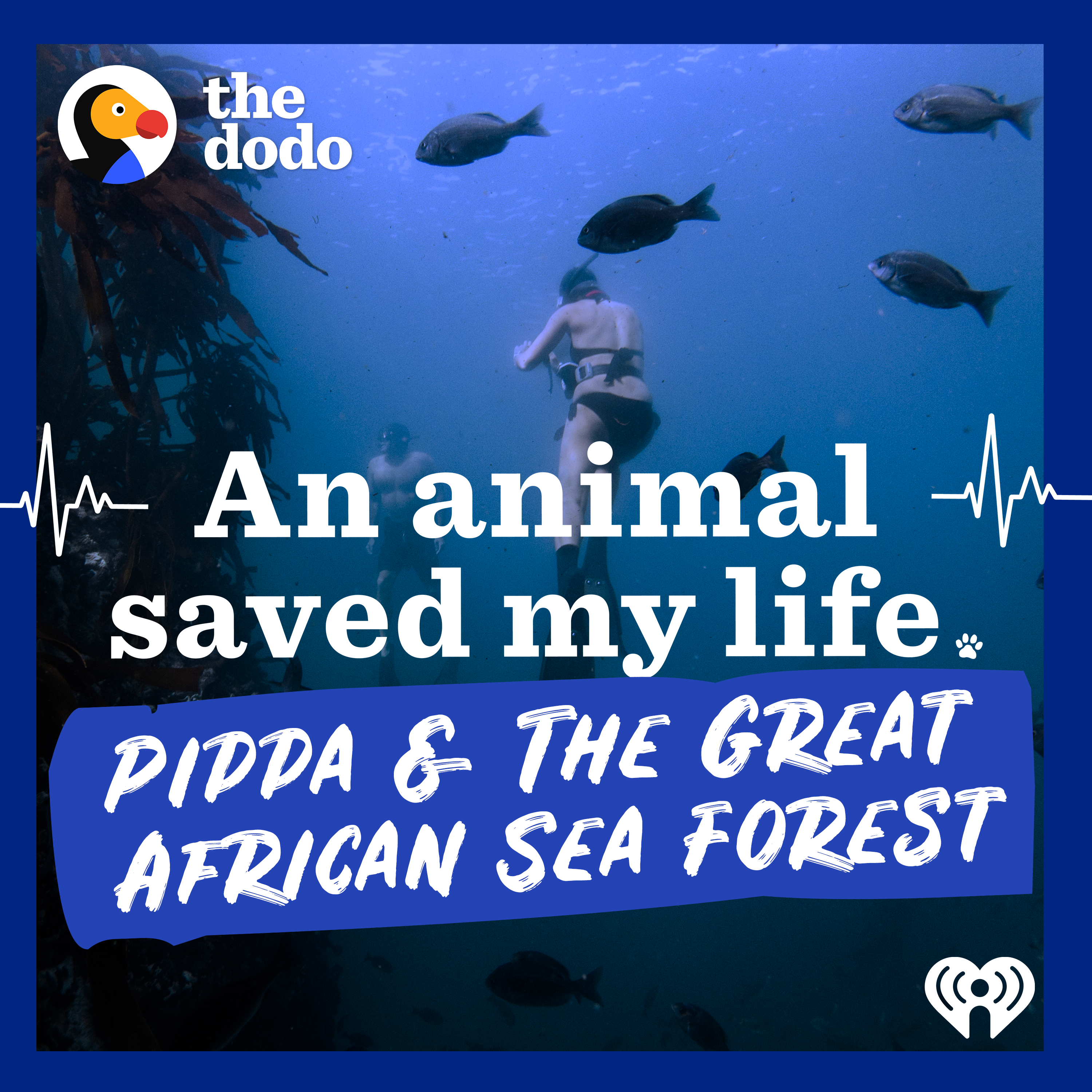An Animal Saved My Life