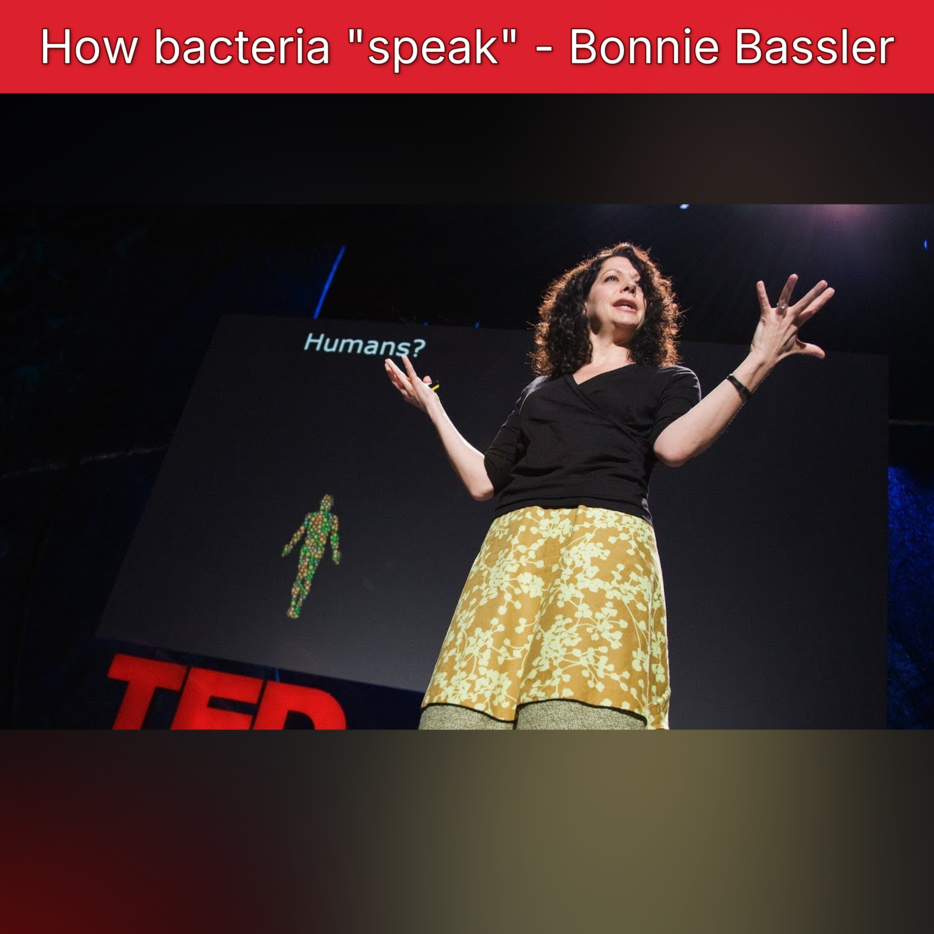 How bacteria "speak" - Bonnie Bassler episode artwork