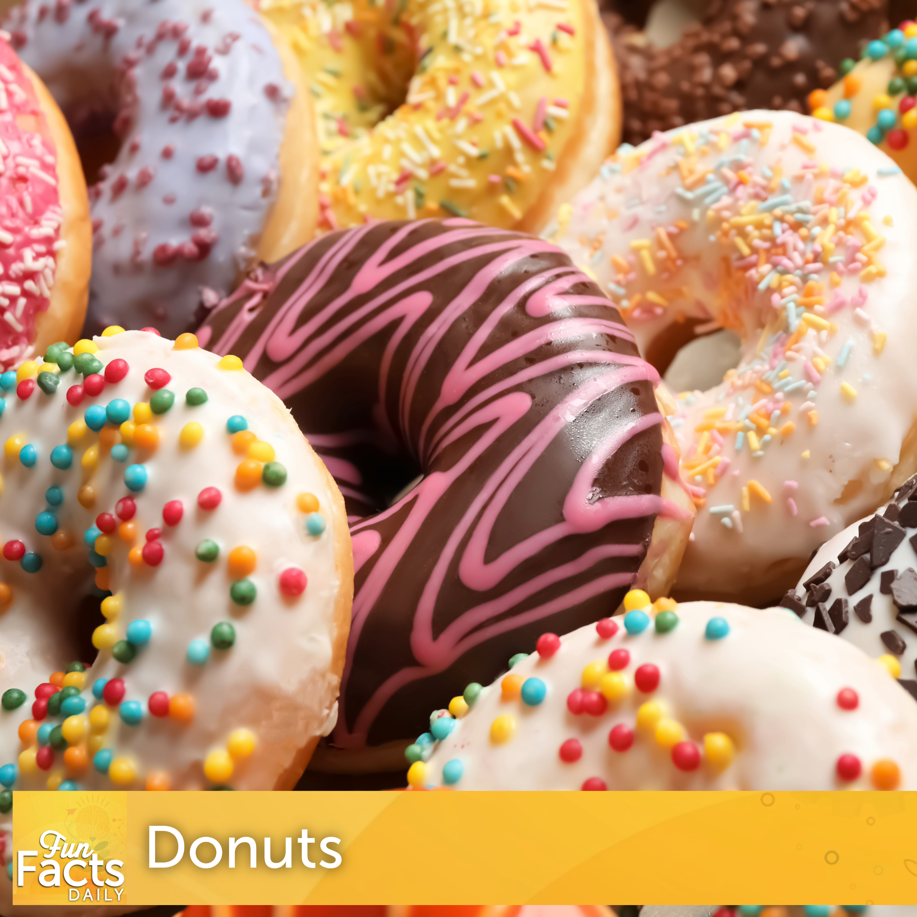Fun Facts About Donuts