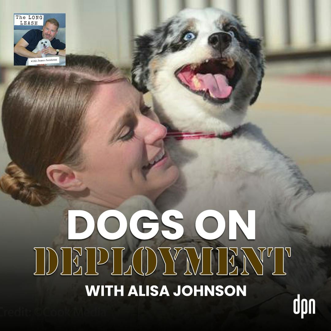 Dogs on Deployment with Alisa Johnson | The Long Leash #051