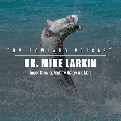 Dr. Mike Larkin - Tarpon Behavior, Anatomy, History, And More