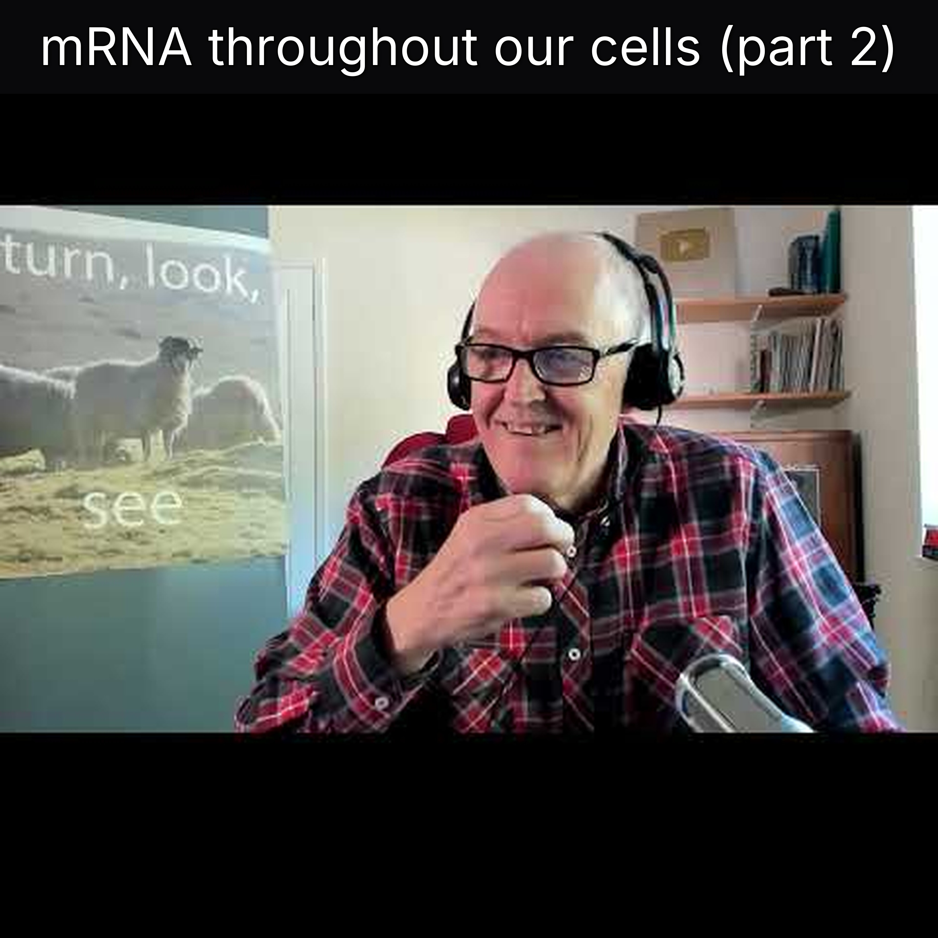 mRNA throughout our cells (part 2) episode artwork