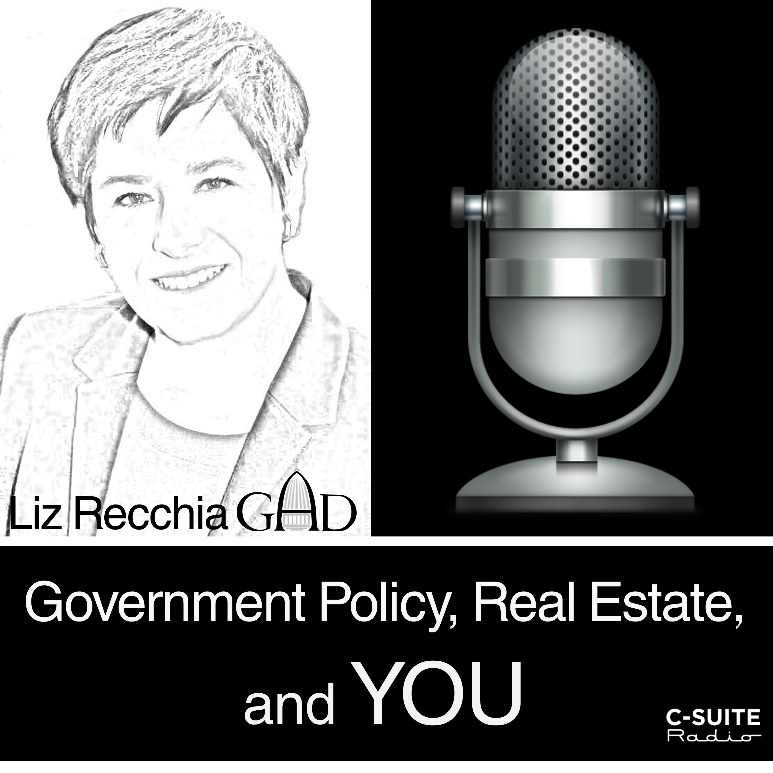 Government Policy, Real Estate and You! with Liz Recchia