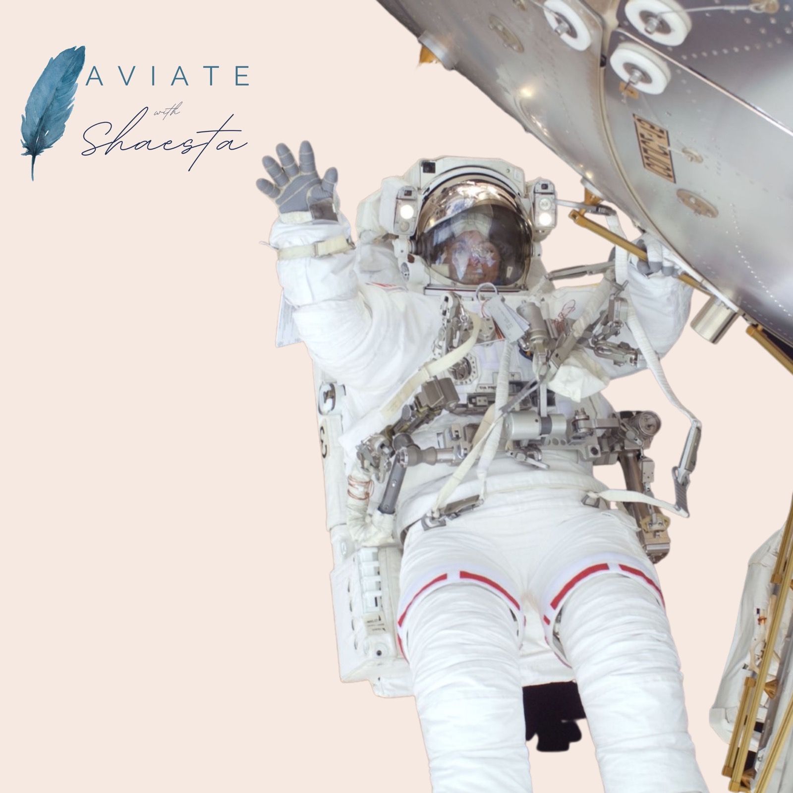 Retired Astronaut, Artist, & Author, Nicole Stott discusses New Horizons & Lessons from Space