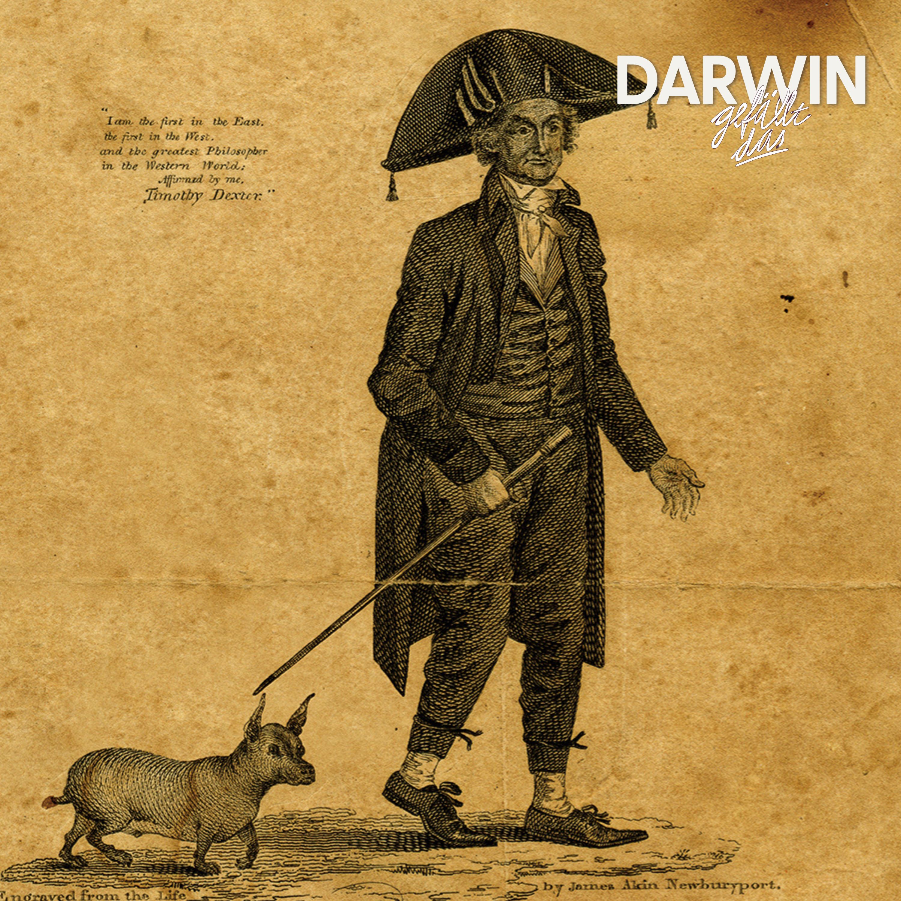 Der dümmste Glückspilz aller Zeiten (DGD Classics)