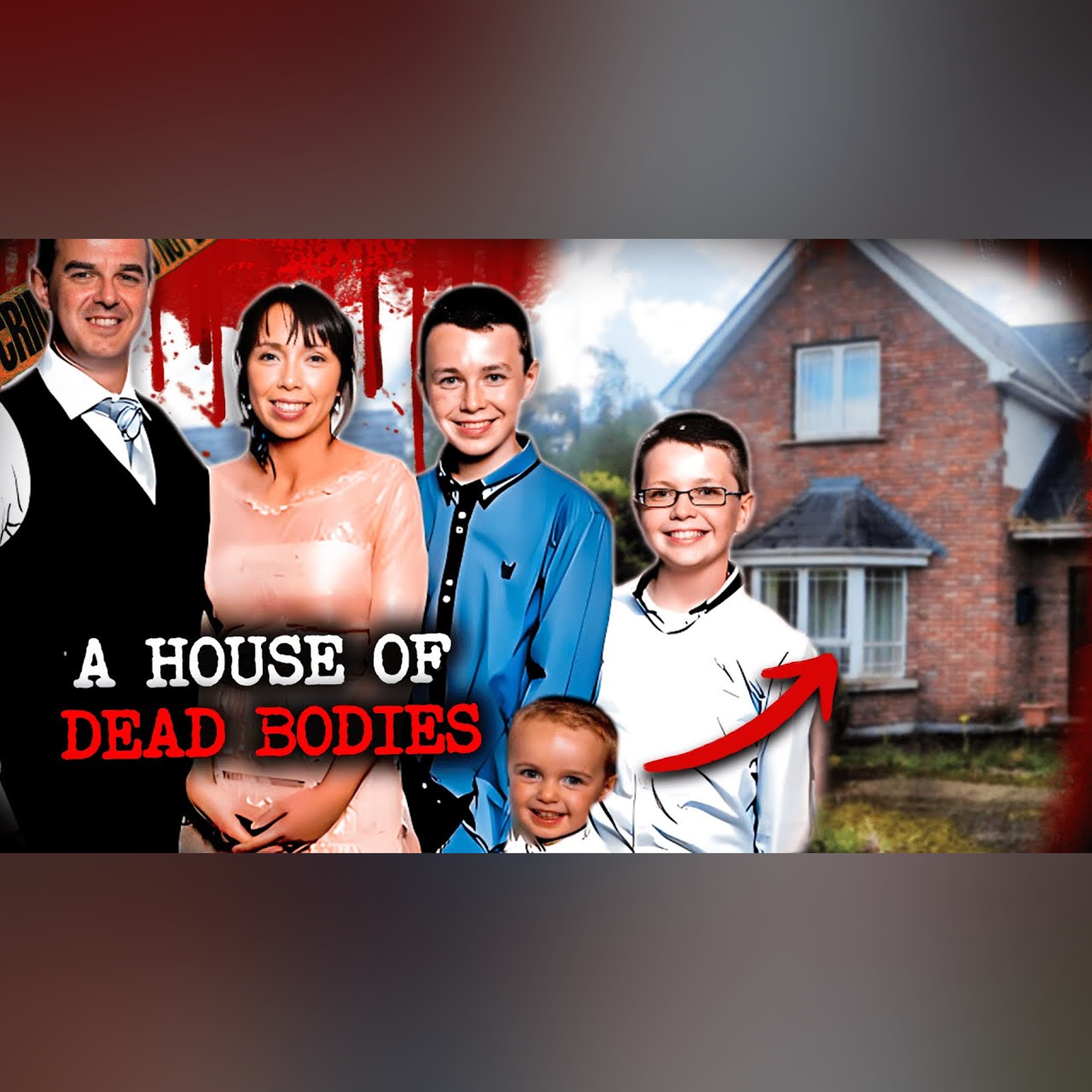 The Hawe Family Massacre: A Dark Day For Ireland. True Crime Documentary episode artwork