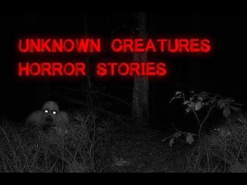 3 Disturbing True Unknown Creature Stories