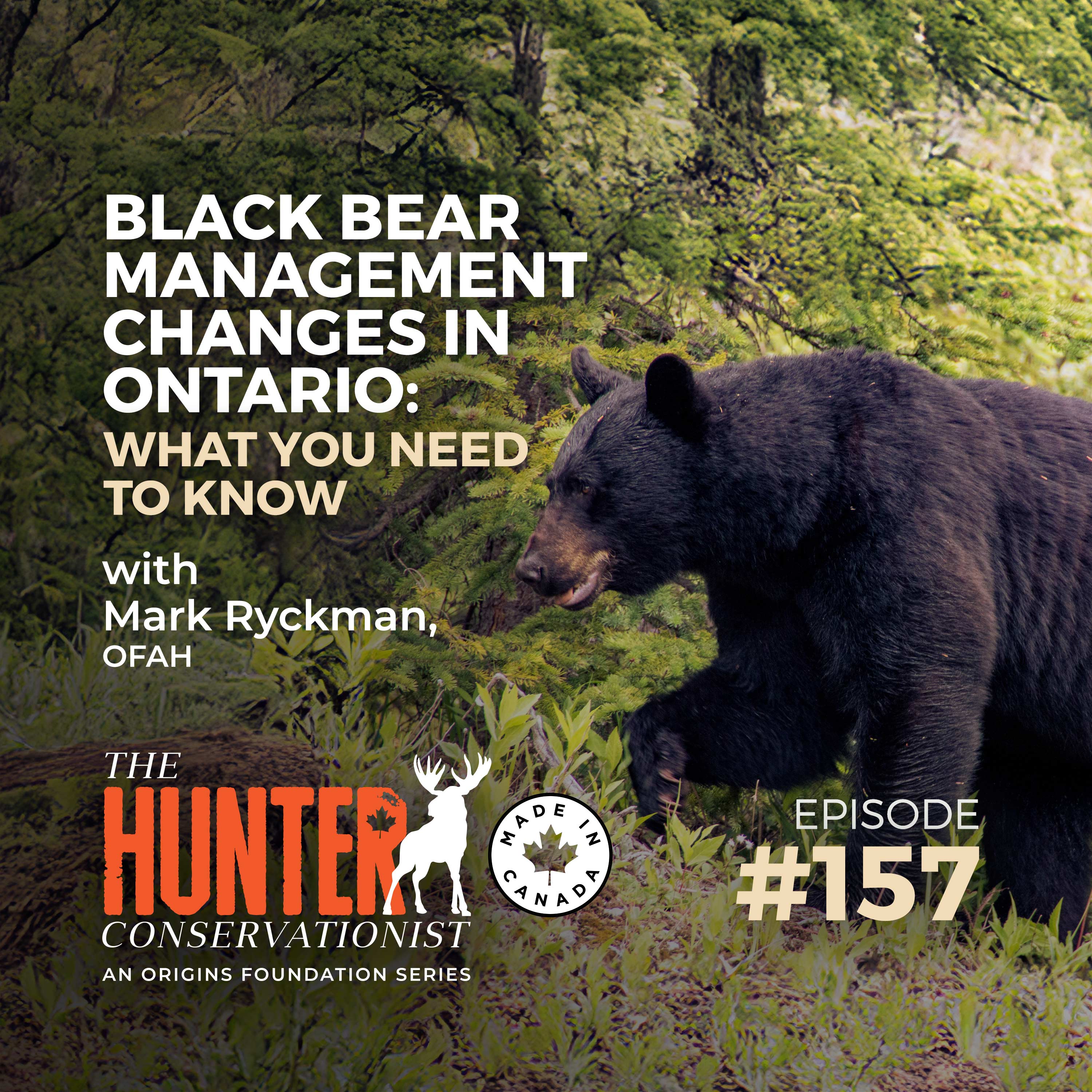Black Bear Management Changes in Ontario || Ep. 157
