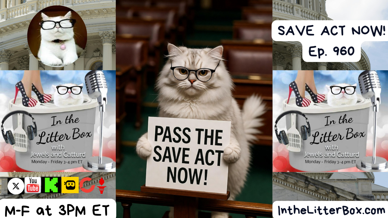SAVE ACT NOW! | In the Litter Box w/ Jewels Jones & Catturd – Ep. 960 – 1/29/2026