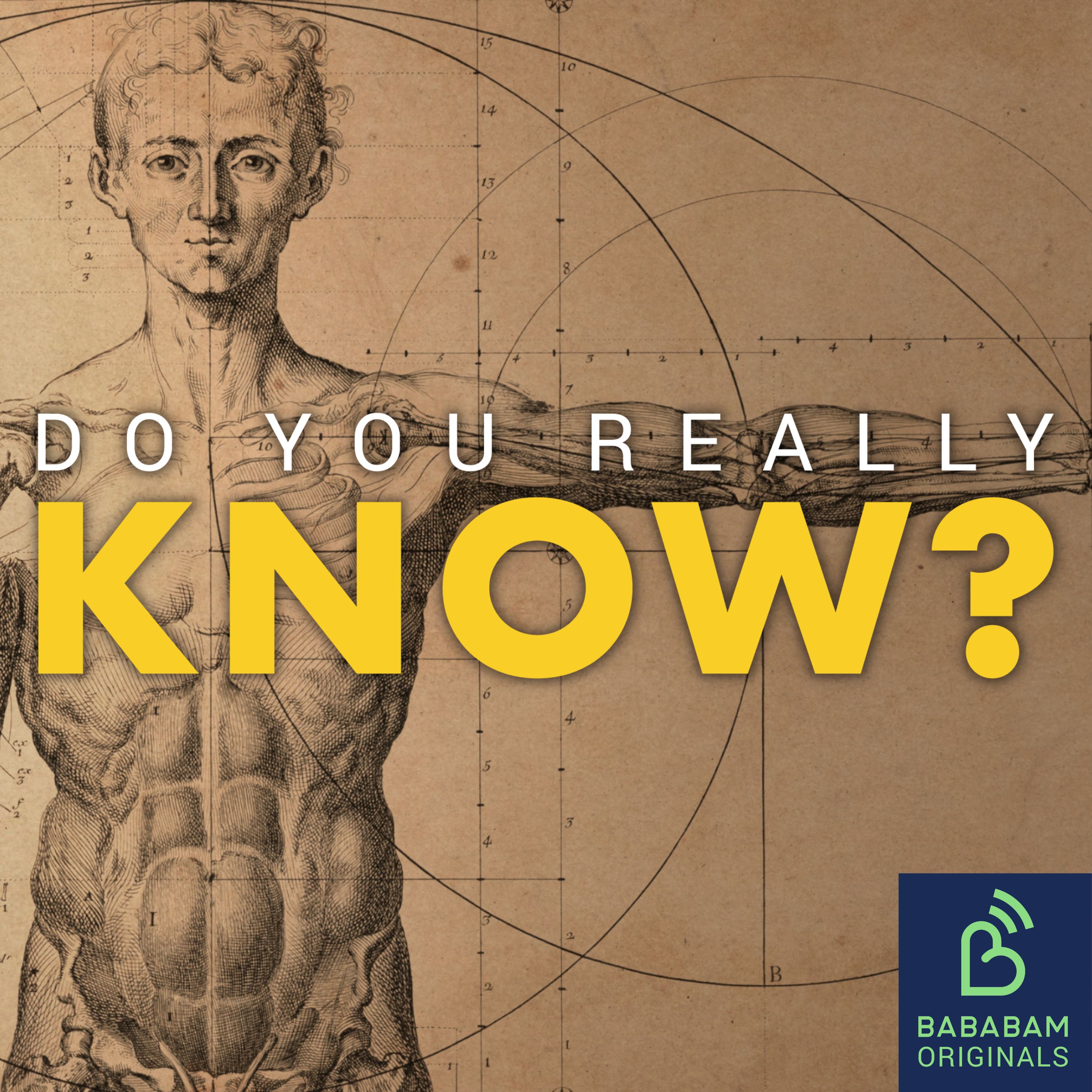 Cover art for the episode "What happens to our bodies when we die?" from Do you really know?