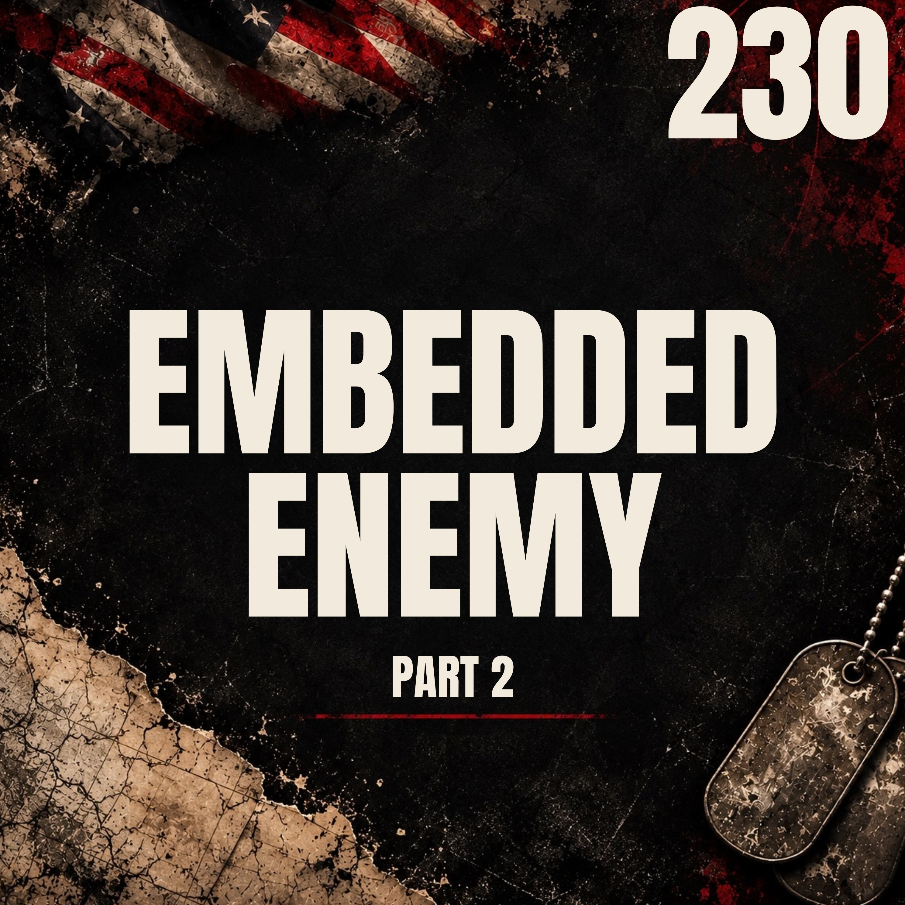230 || Embedded Enemy || Exclusive with CSM (Ret) Bart Womack [Part 2]