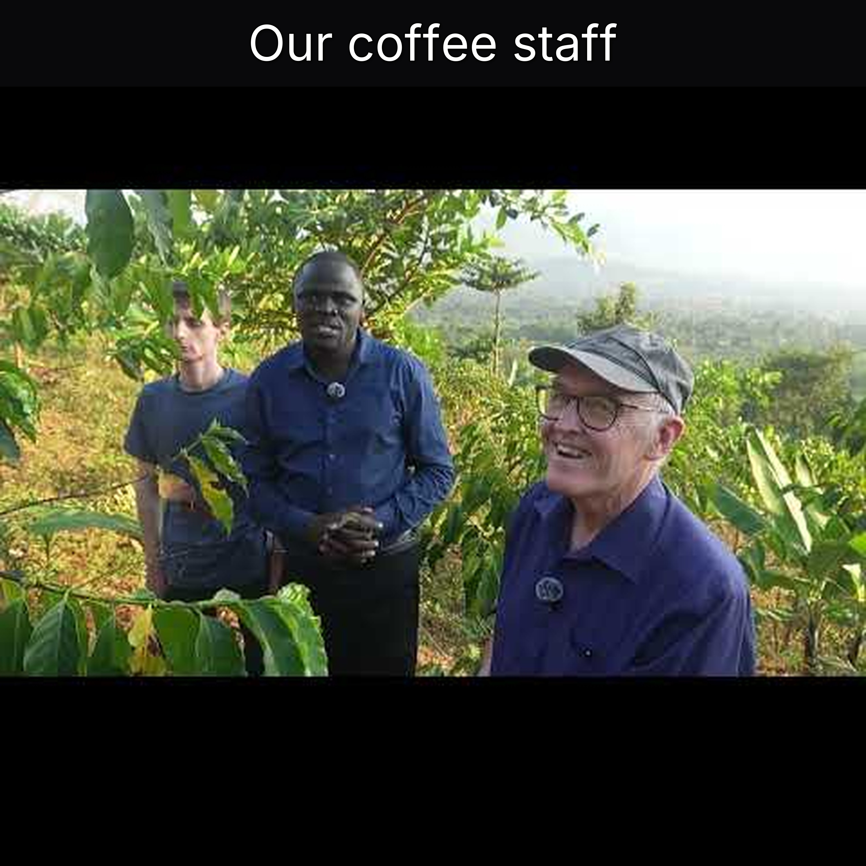 Our coffee staff