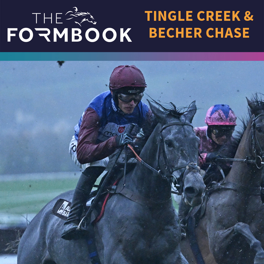 Tingle Creek & Becher Chase tips | The Formbook | Racing TV