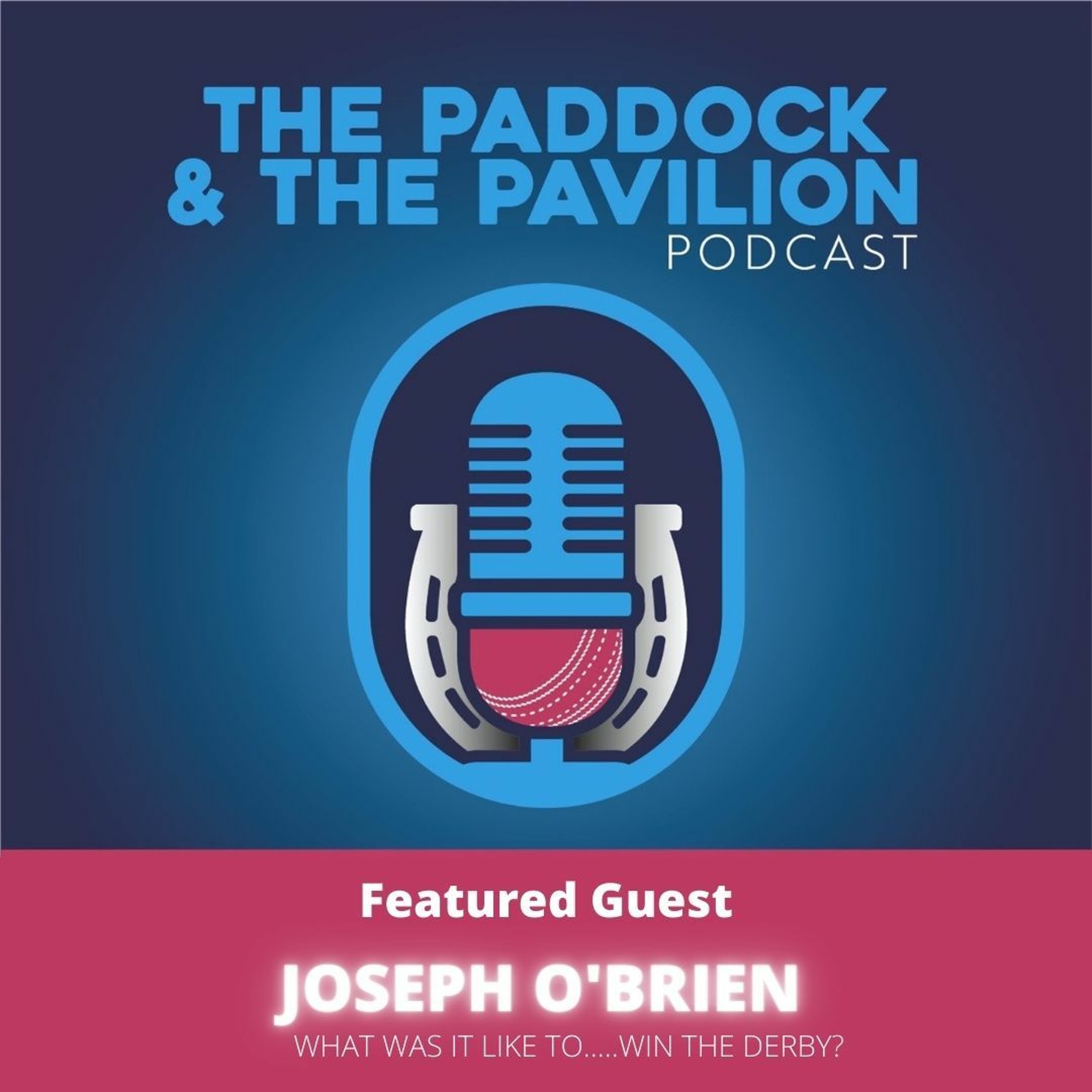 Episode 3 - Joseph O'Brien - What was it like to ....Win the Derby? episode artwork