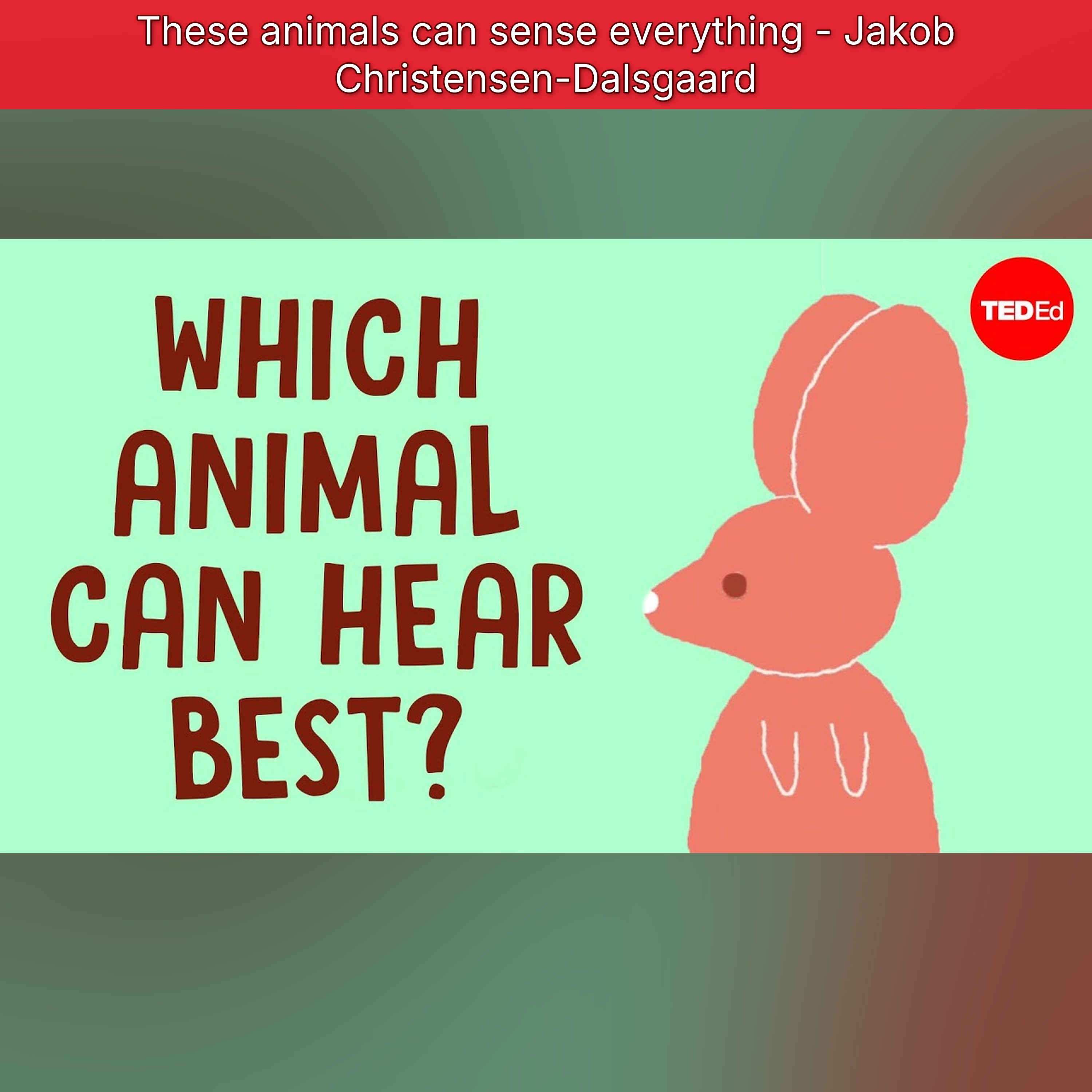 These animals can sense everything - Jakob Christensen-Dalsgaard episode artwork