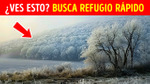Portada de GENIAL