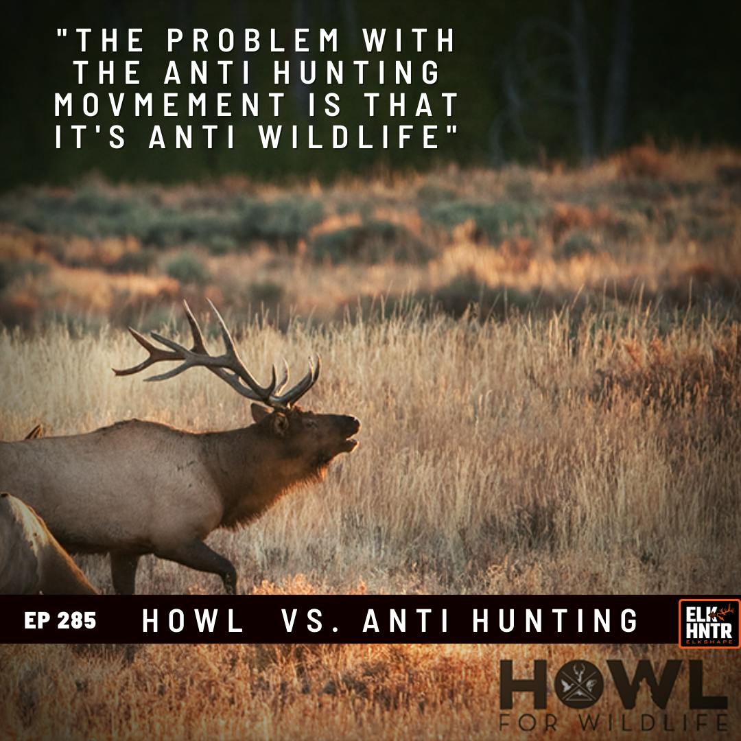 H.O.W.L vs Anti Hunting