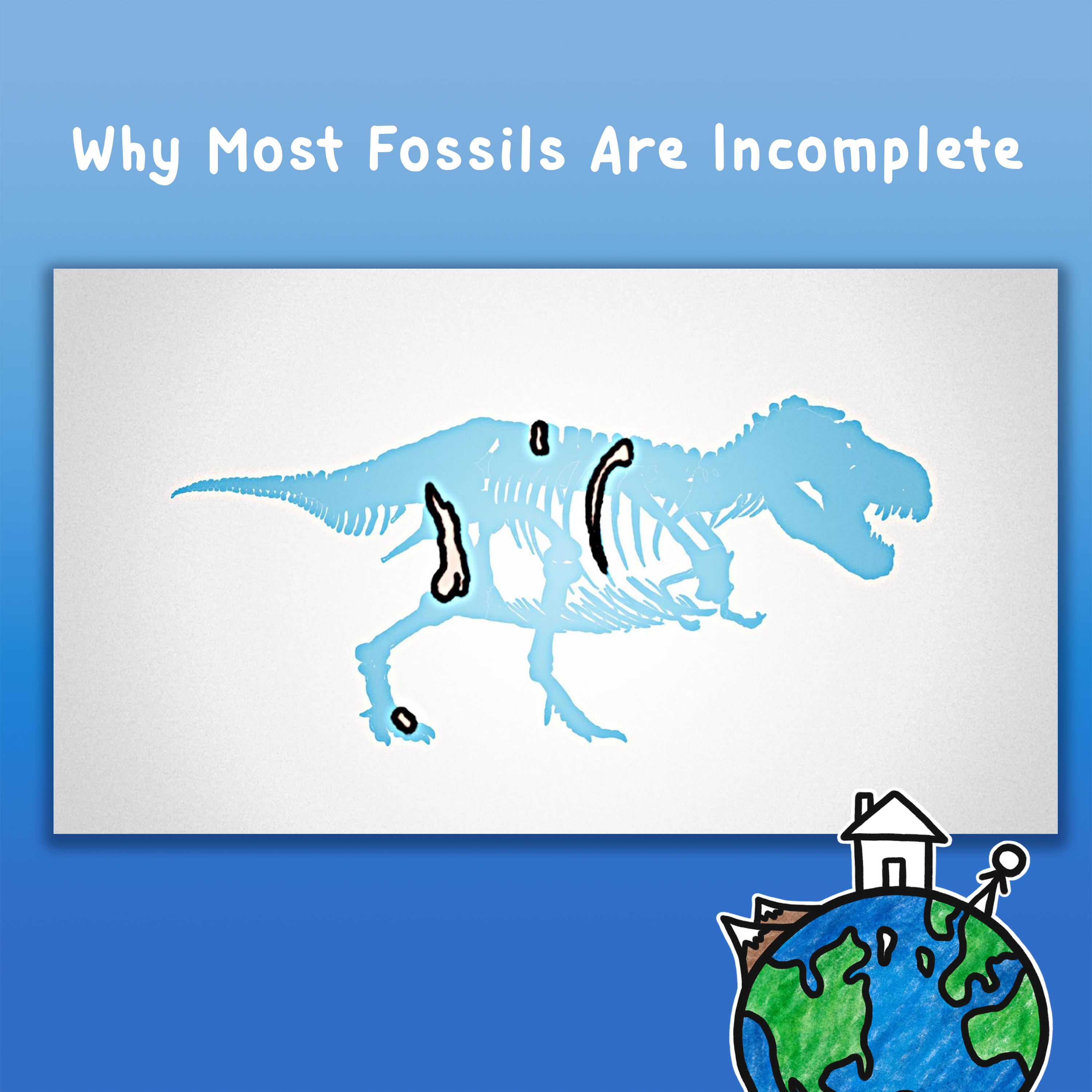 Why Most Fossils Are Incomplete