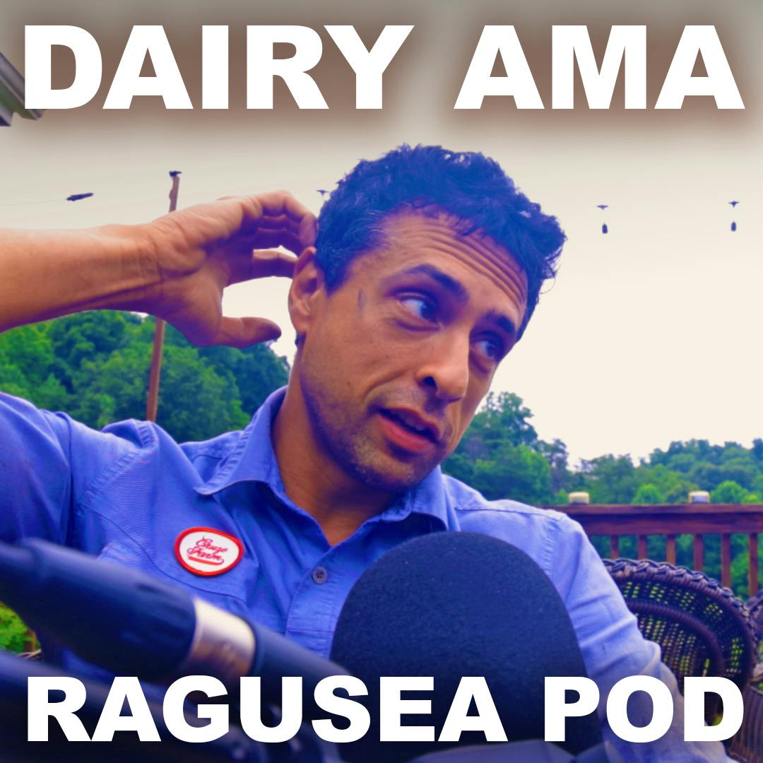 Ask dairy farmer Manjit: What about the calves? 'Clean' raw milk? Does milking hurt? (E65) Ask dairy farmer Manjit: What about the calves? 'Clean' raw milk? Does milking hurt? (E65)