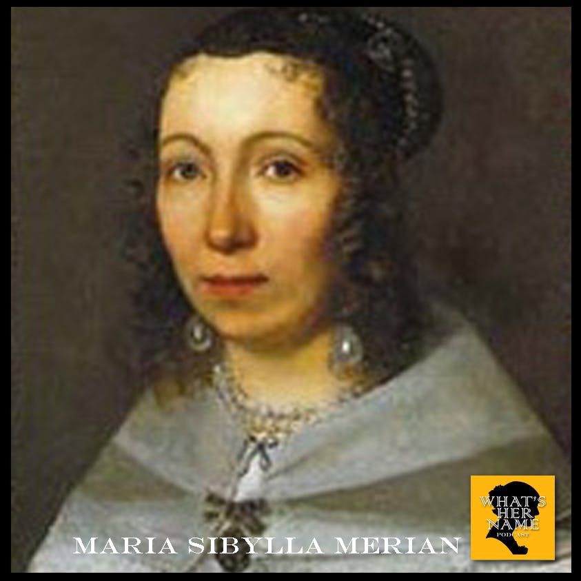 THE NATURALIST Maria Sibylla Merian