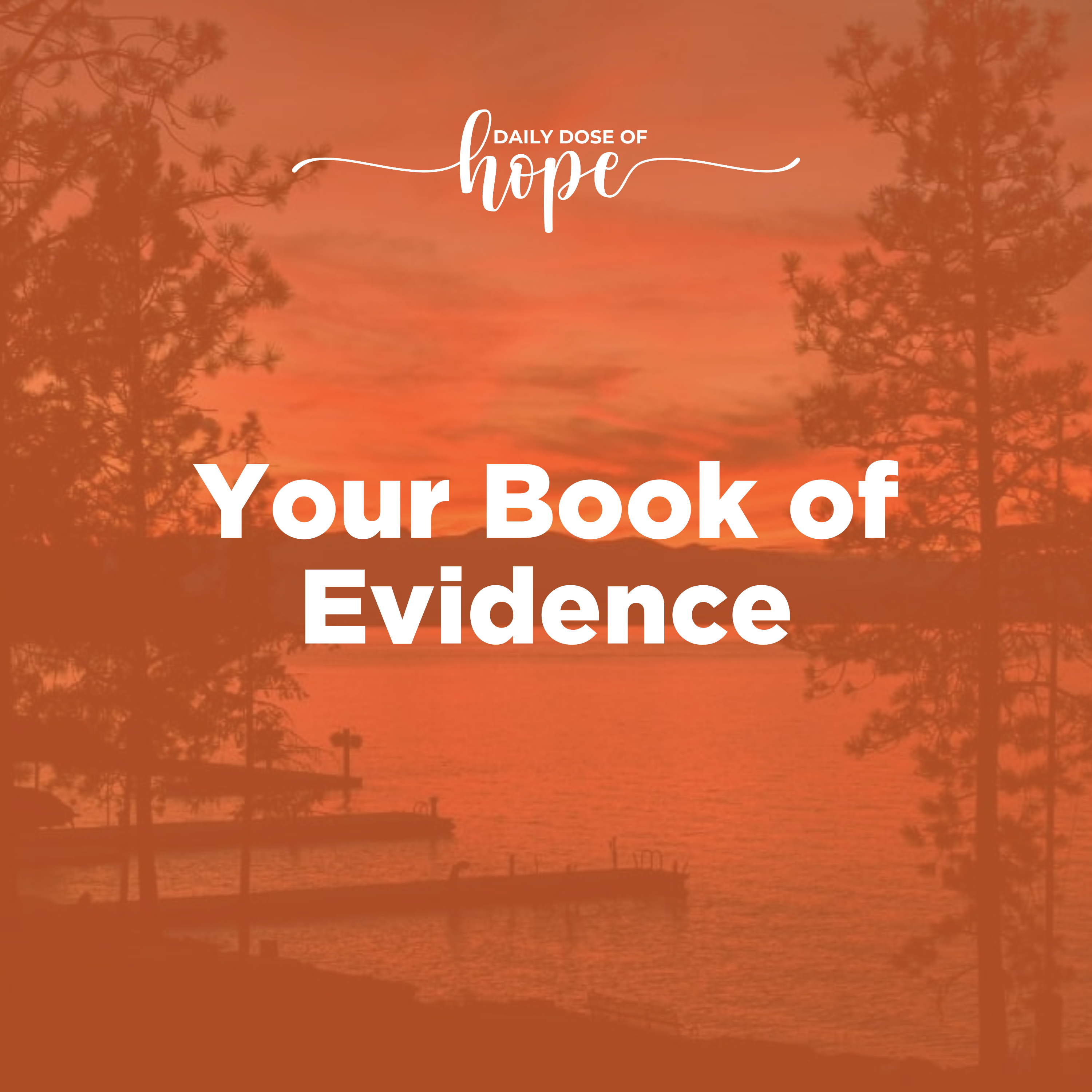Your Book of Evidence episode artwork