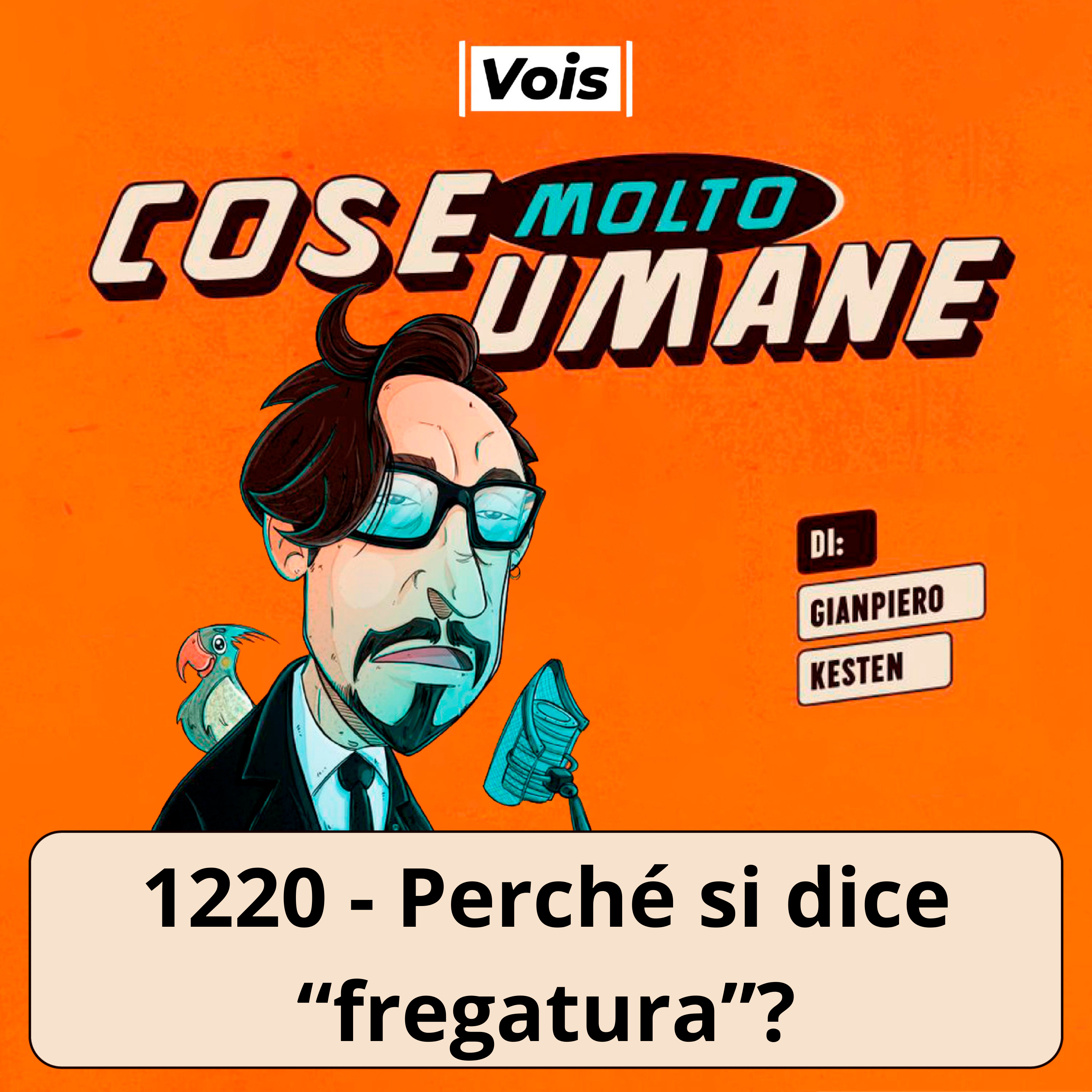 1220 - Perché si dice "fregatura"?