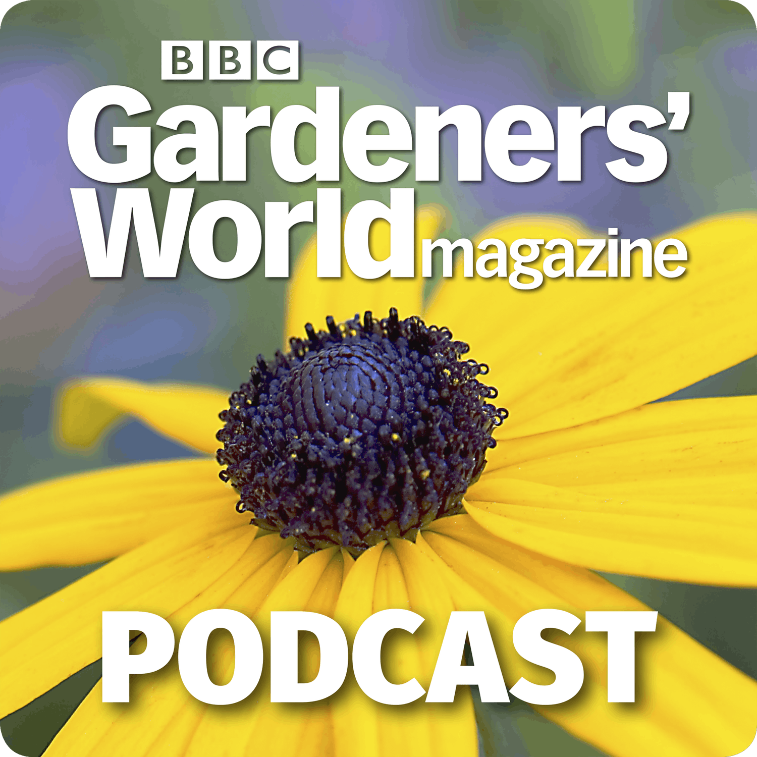 Tales from Titchmarsh: Using our gardens