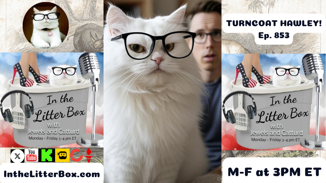 TURNCOAT HAWLEY | In the Litter Box w/ Jewels & Catturd – Ep. 853 – 7/31/2025