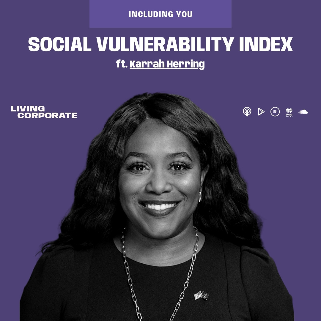 Including You : Social Vulnerability Index (ft. Karrah Herring) episode artwork