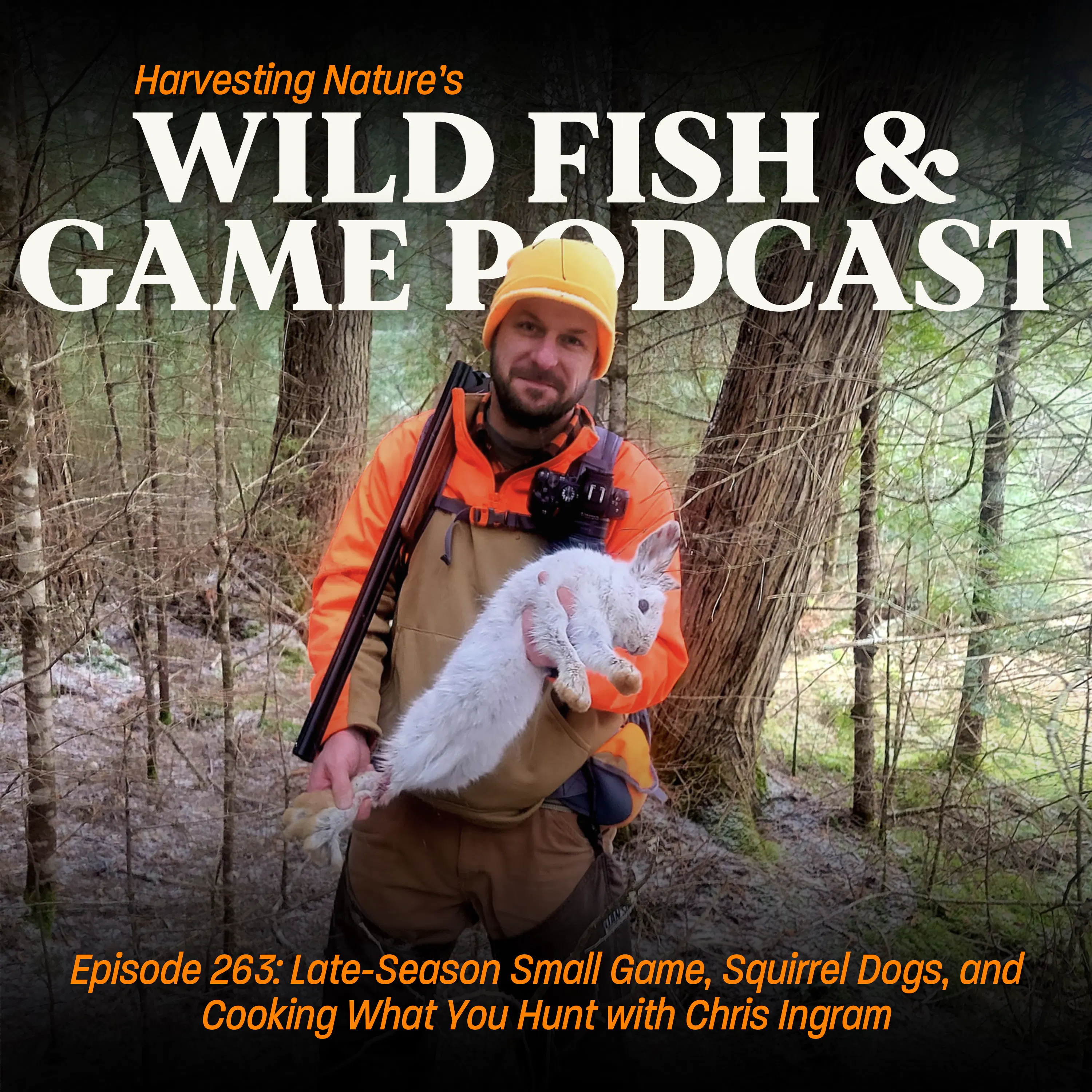 Episode 263: Late-Season Small Game, Squirrel Dogs, and Cooking What You Hunt episode artwork