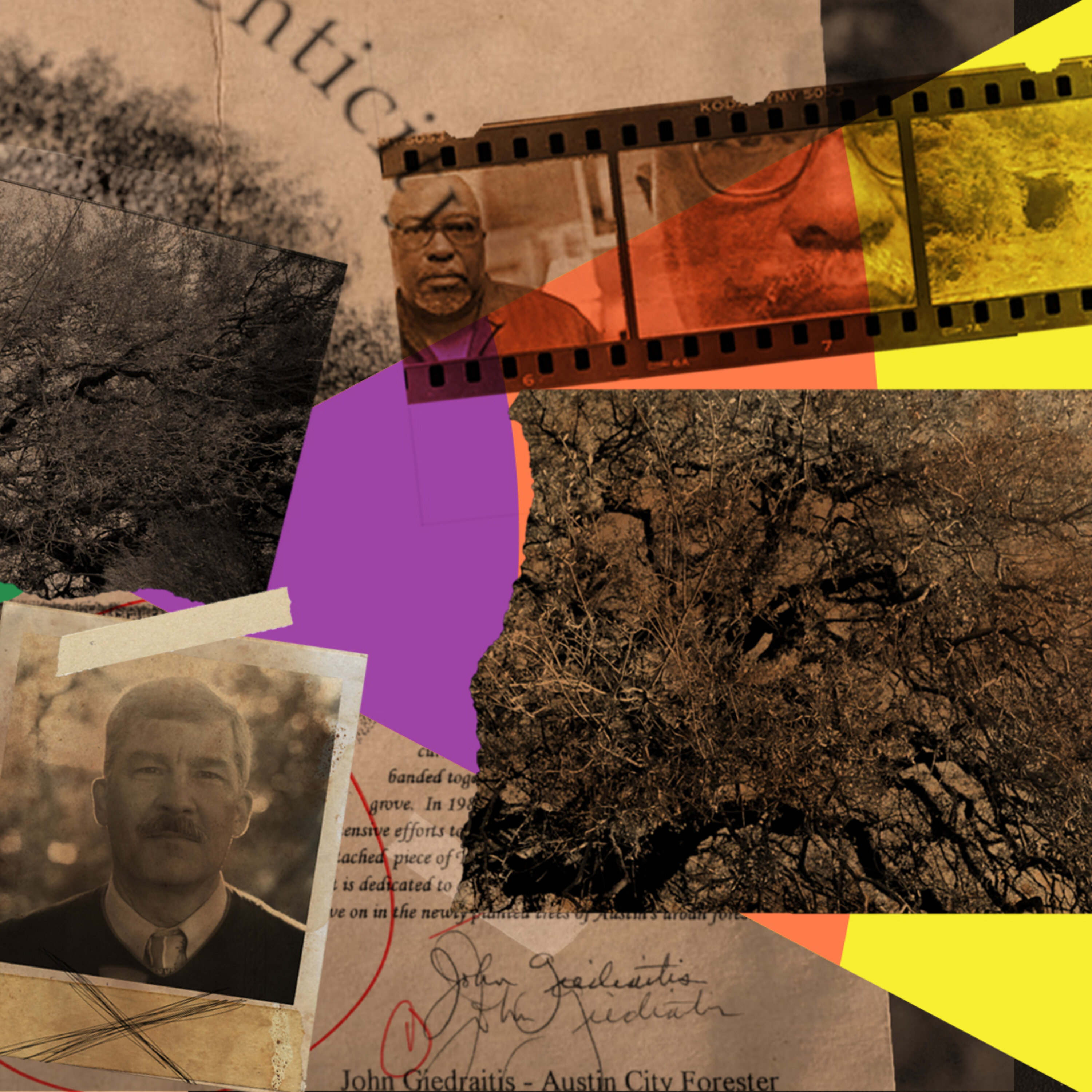 One of the Weirdest Crimes in Austin, Texas