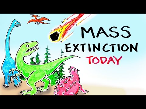 Mass Extinction Crisis TODAY | After Skool