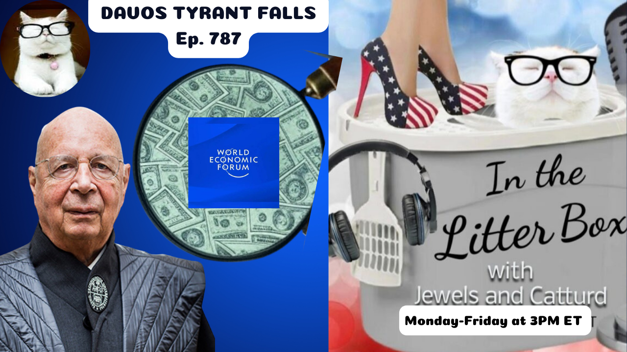 DAVOS TYRANT FALLS | In the Litter Box w/ Jewels & Catturd – Ep. 787 – 4/23/2025