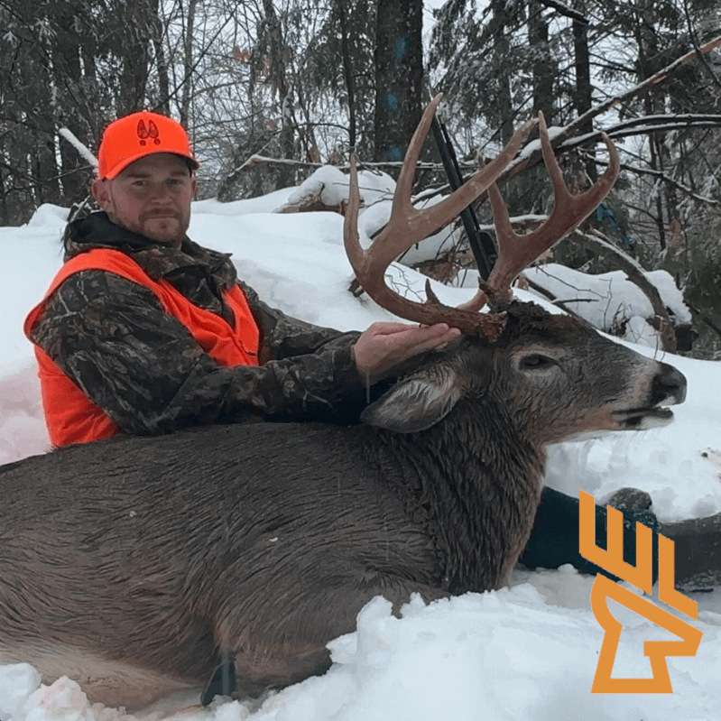 Whitetail Landscapes - Mastering the Art of Tracking Whitetail Deer, Deer Behavior, Secrets