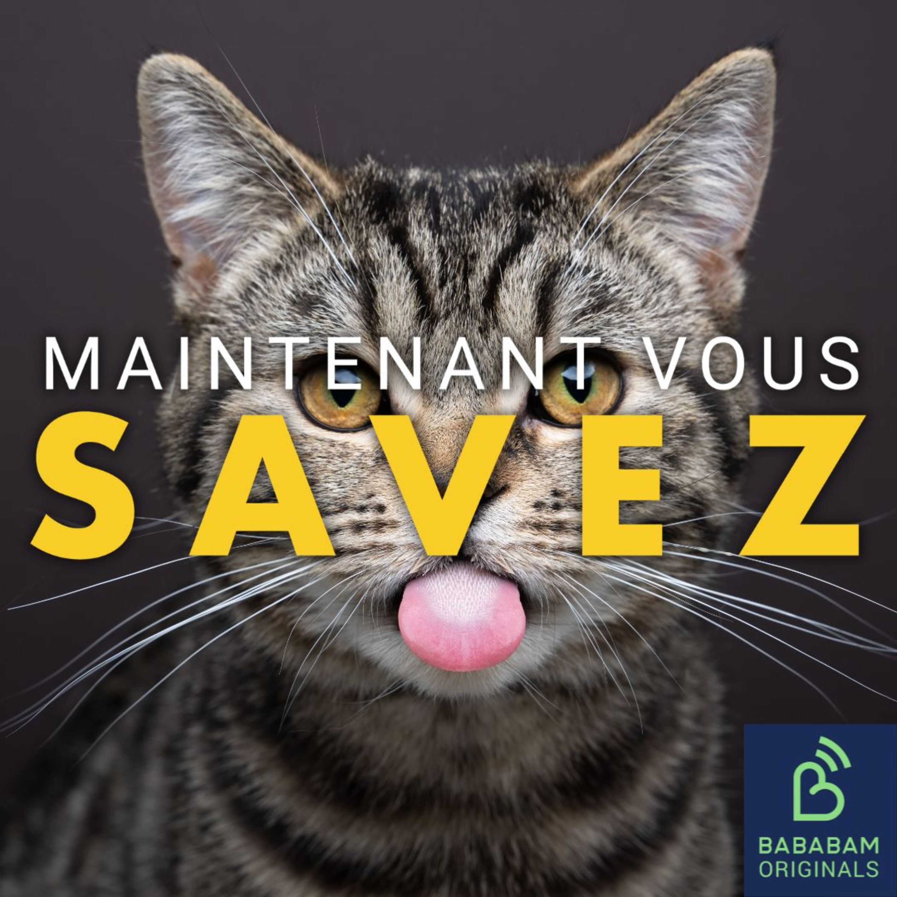 Quels sont les secrets d’un bon cunnilingus ?