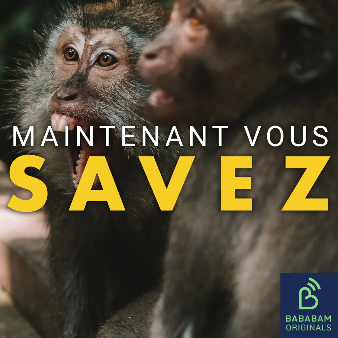 Comment reconnaître un flying monkey, allié du pervers narcissique ?