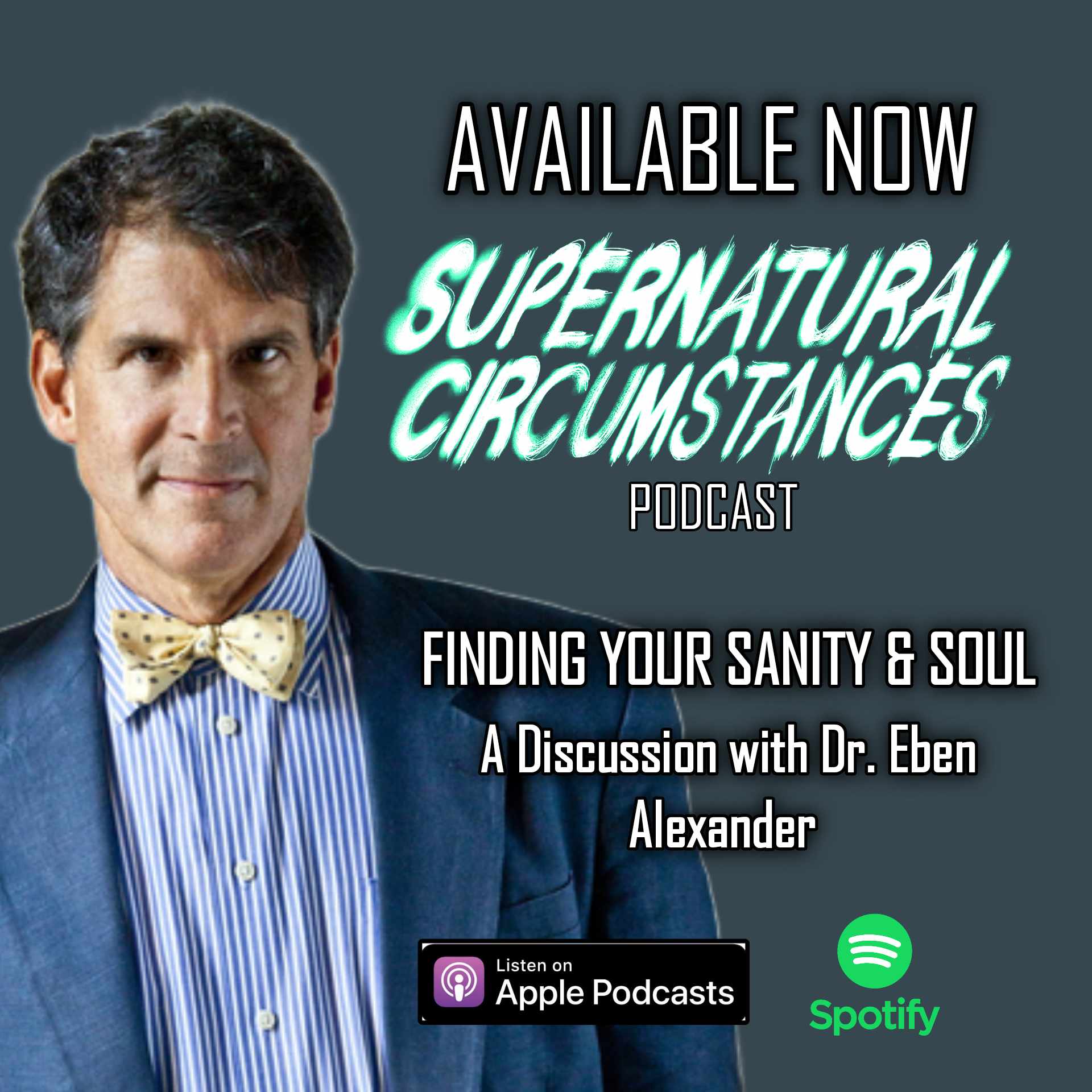 Finding Your Sanity & Soul - A Discussion with Dr. Eben Alexander episode artwork