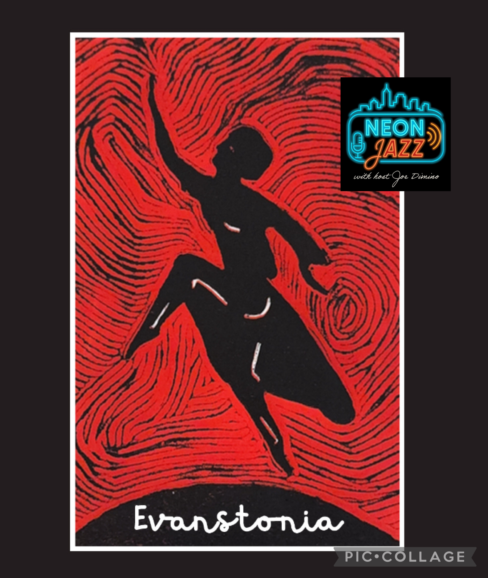 From Orchestra to Jazz: Double Bassist Sue Cahill Talks Evanstonia & Her Career