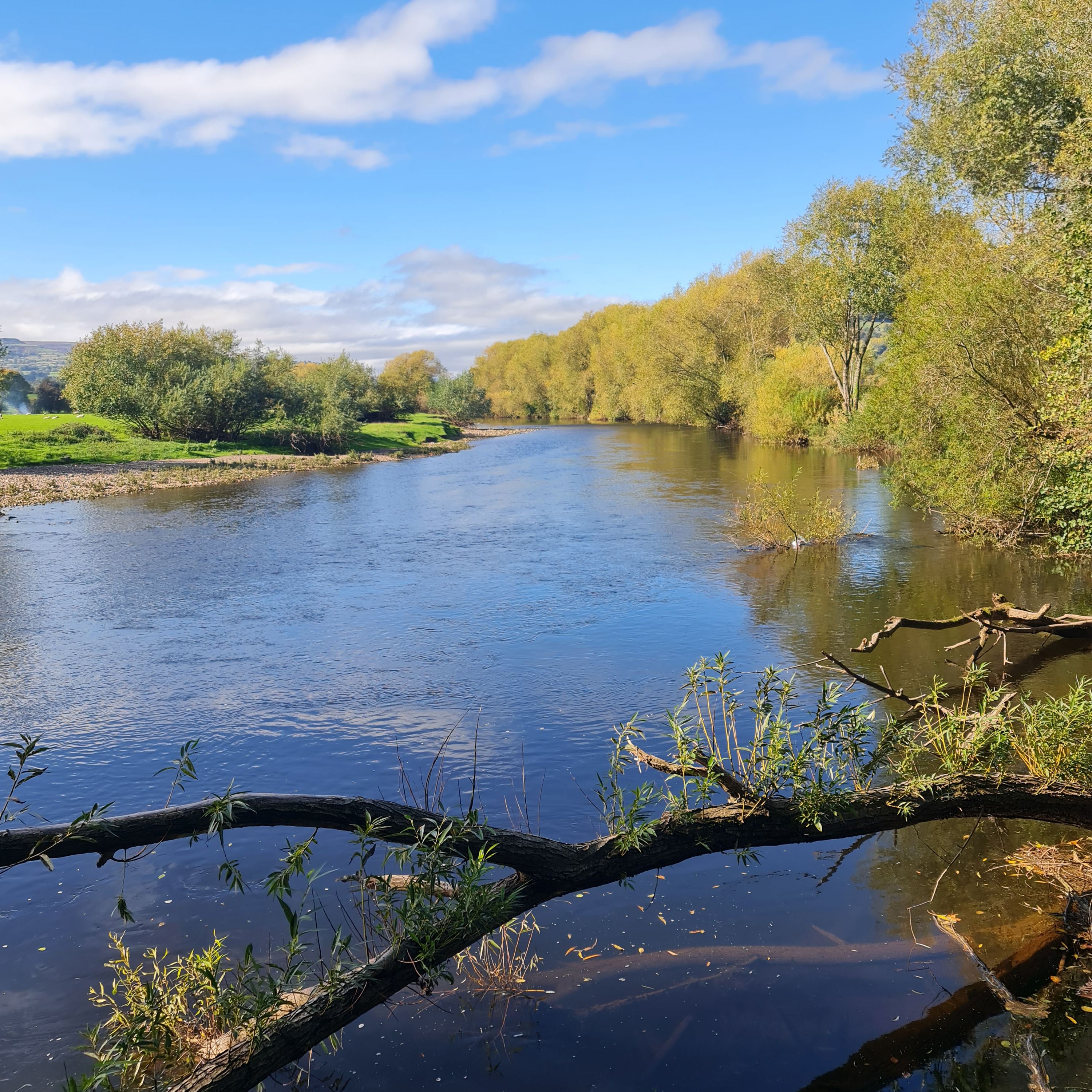 Sound Escape 244. Hear the song of the River Usk in Autumn