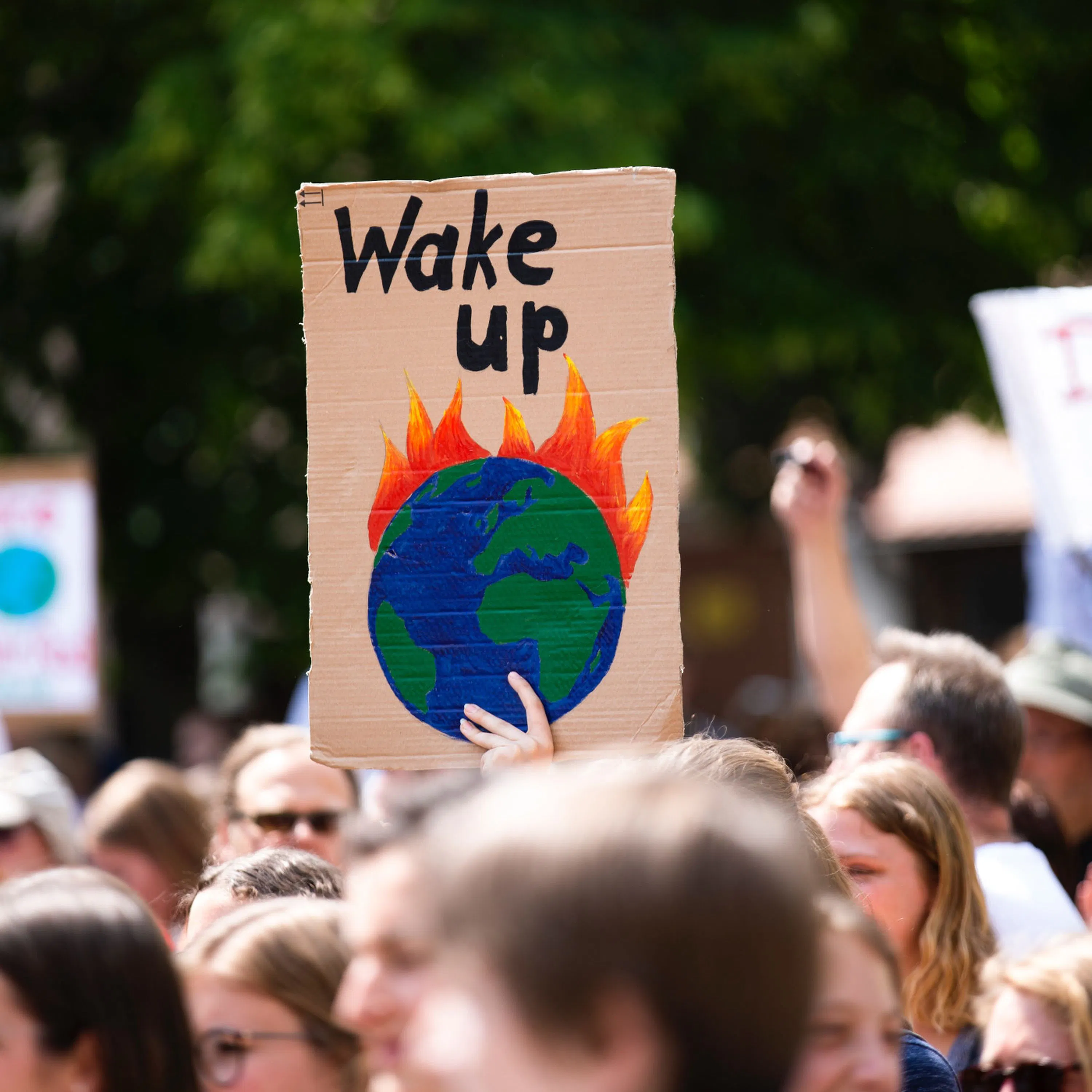 Livres : 3 lectures pour muscler votre conscience écolo