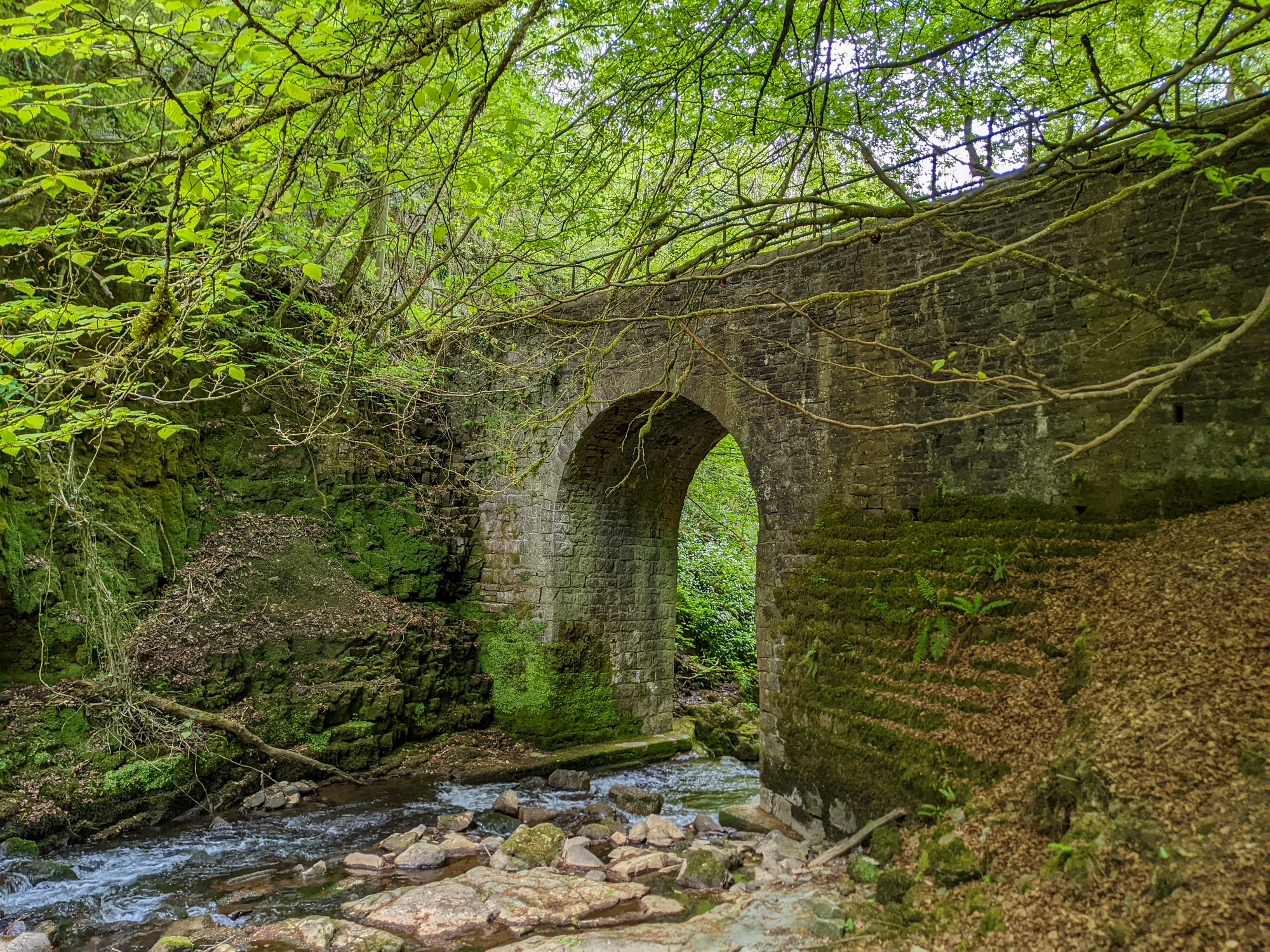 204: Adventure into the Welsh hills on an electric bike
