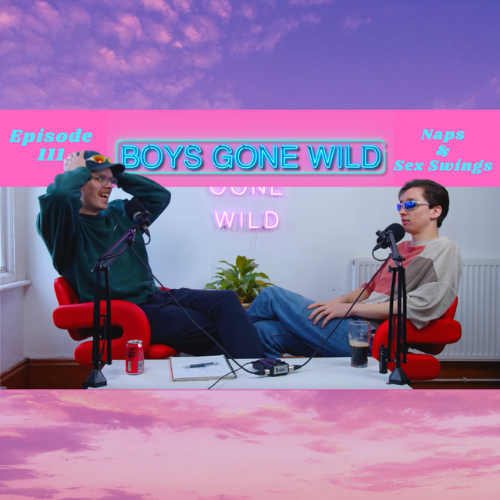 Boys Gone Wild | Episode 111: Naps & Sex Swings episode artwork