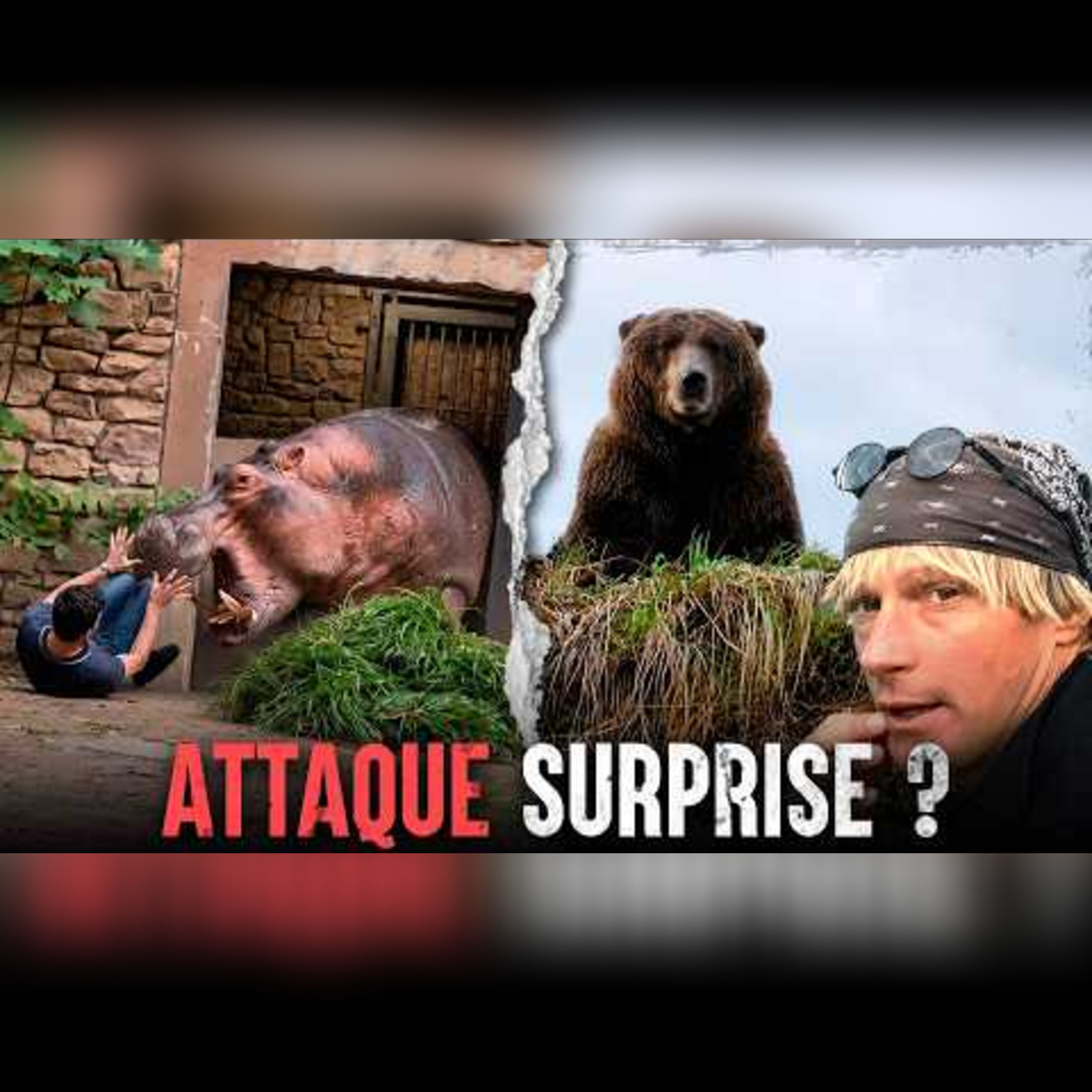 Ils adoraient leurs animaux de compagnie SAUVAGES, mais ils ont commis la même ERREUR episode artwork