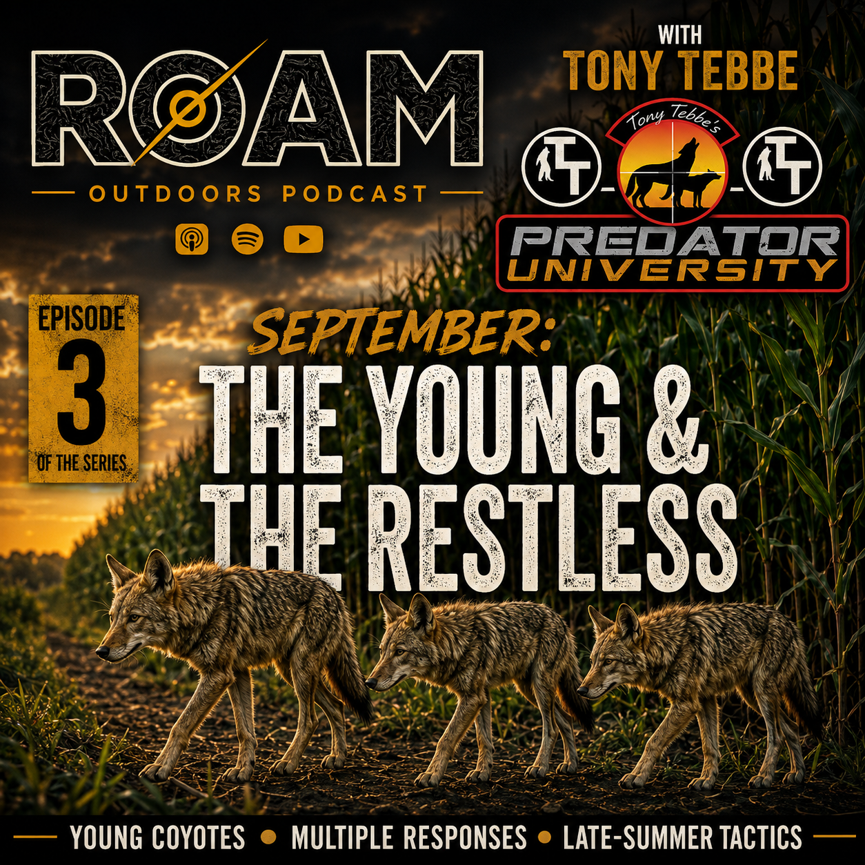 Roam Shoot  - The Yote Series w/ Tony Tebbe Ep3 episode artwork