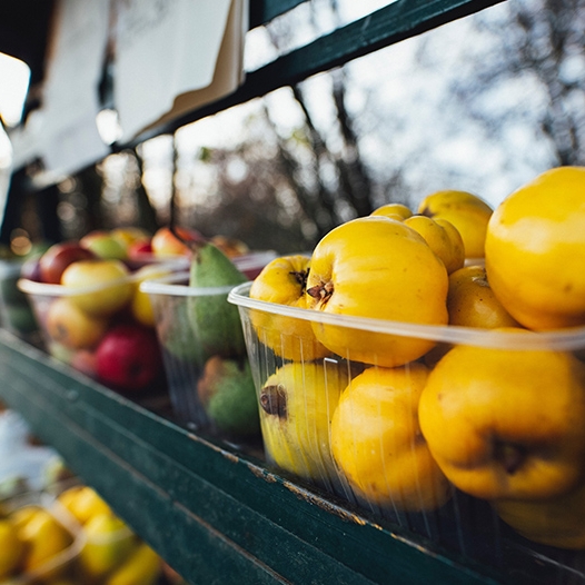 Curbing Corporate Power to Develop a Just Food System | Joann Lo, Saru Jayaraman, Sriram Madhusoodanan, and Ben Burkett
